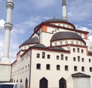 10543739_10206830088336897_1043408833_n